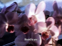 Bondage Train